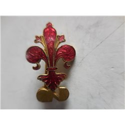 Distintivo dirigente di 1 fascia OND Firenze