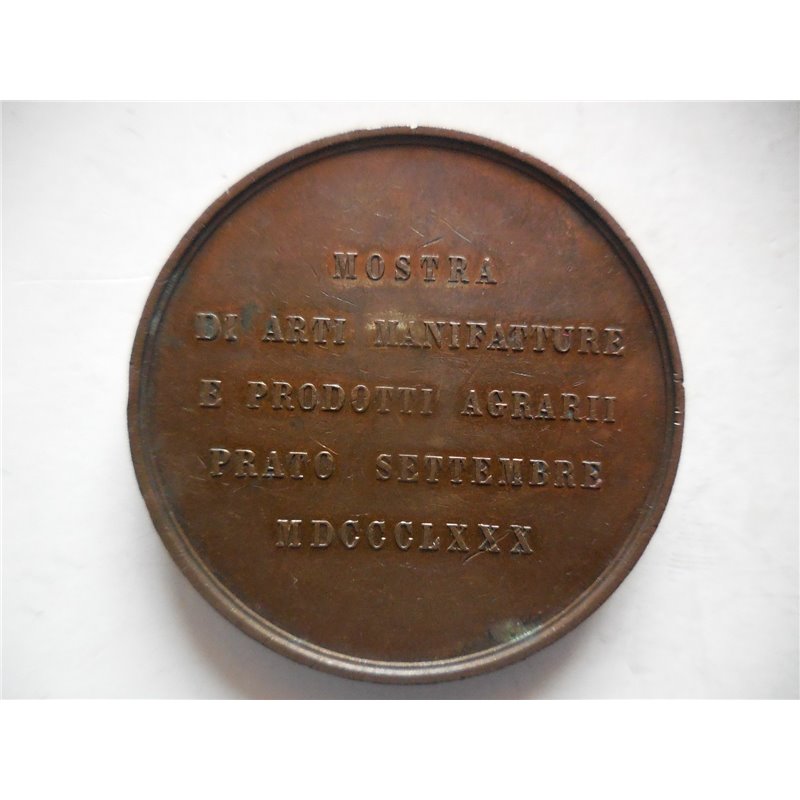 Prato medaglia per la mostra arti e prodotti 1880
