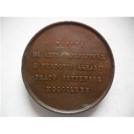 Prato medaglia per la mostra arti e prodotti 1880
