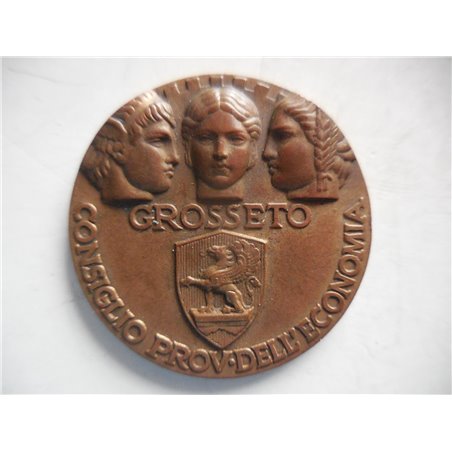 Grosseto medaglia consiglio provinciale economia