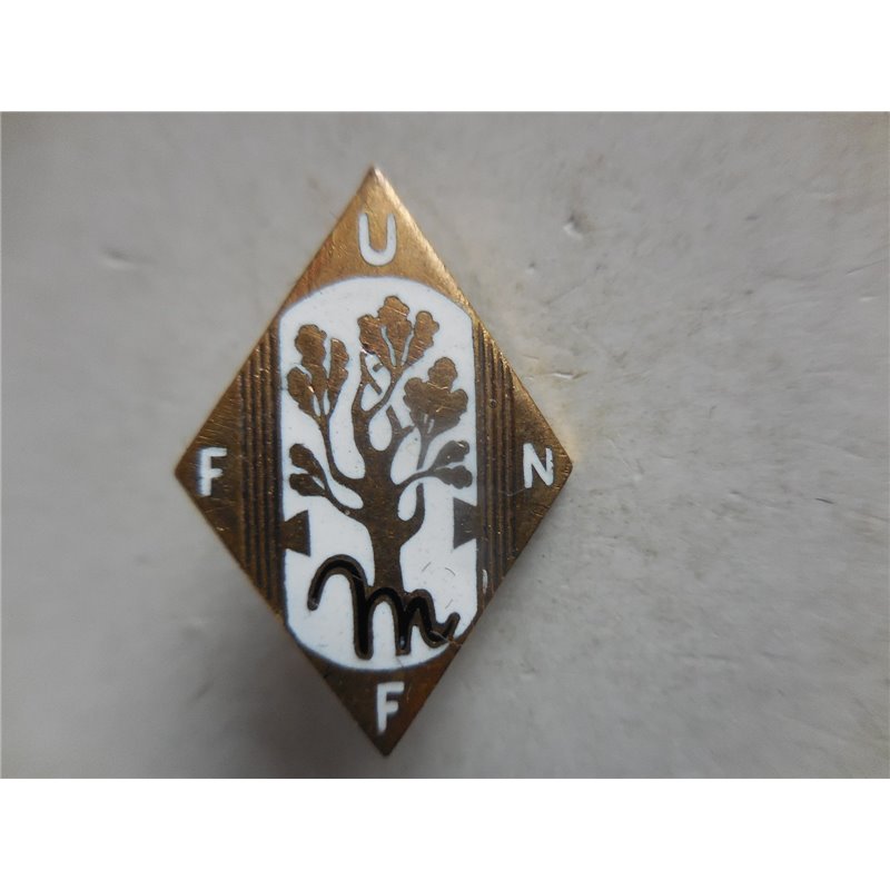 distintivo per le madri di famiglie numerose
