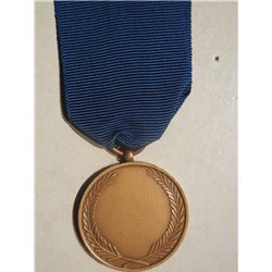 Medaglia al valore militare AFIS Somalia 2
