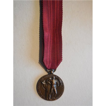 Medaglia mignon ai volontari di querra 1915 1918