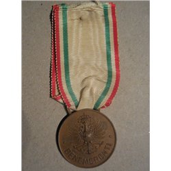Medaglia al merito della croce Rossa CRI