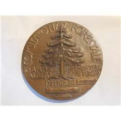 Medaglia Arnaldo Mussolini il comitato nazionale forestale  2