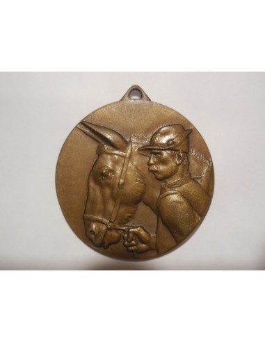 medaglia adunata nazionale alpini Roma 1934