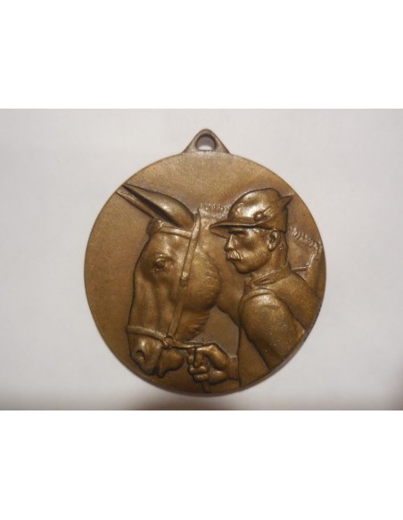 medaglia adunata nazionale alpini Roma 1934